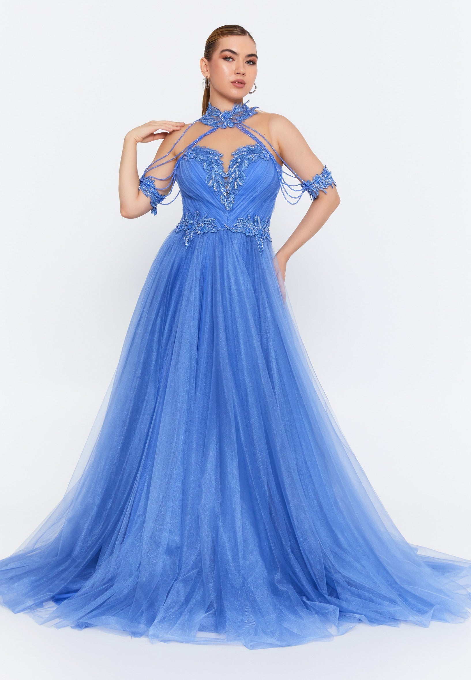 Sleeveless Maxi Tulle A - Line Regular Prom Dress omn667