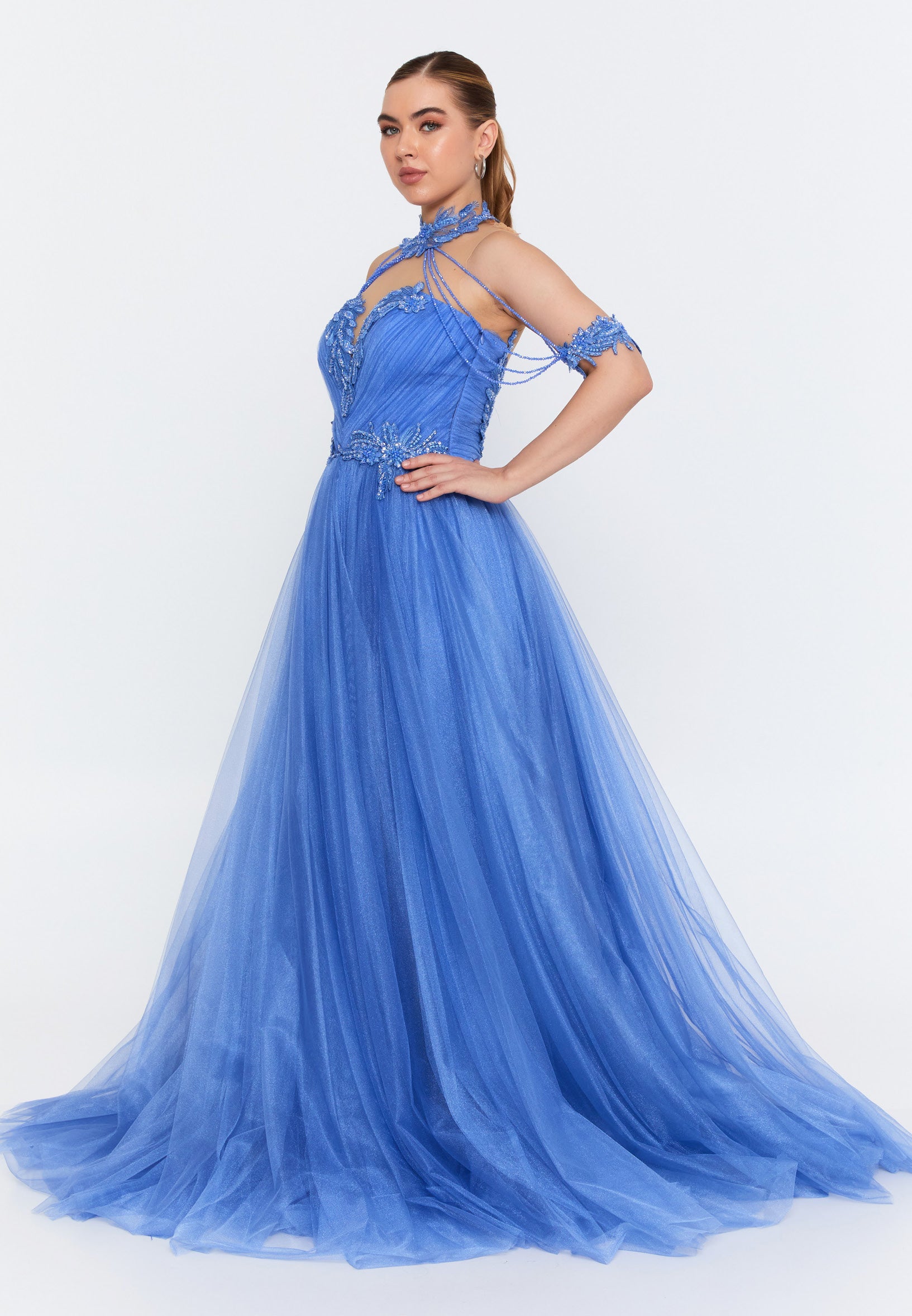 Sleeveless Maxi Tulle A - Line Regular Prom Dress omn667