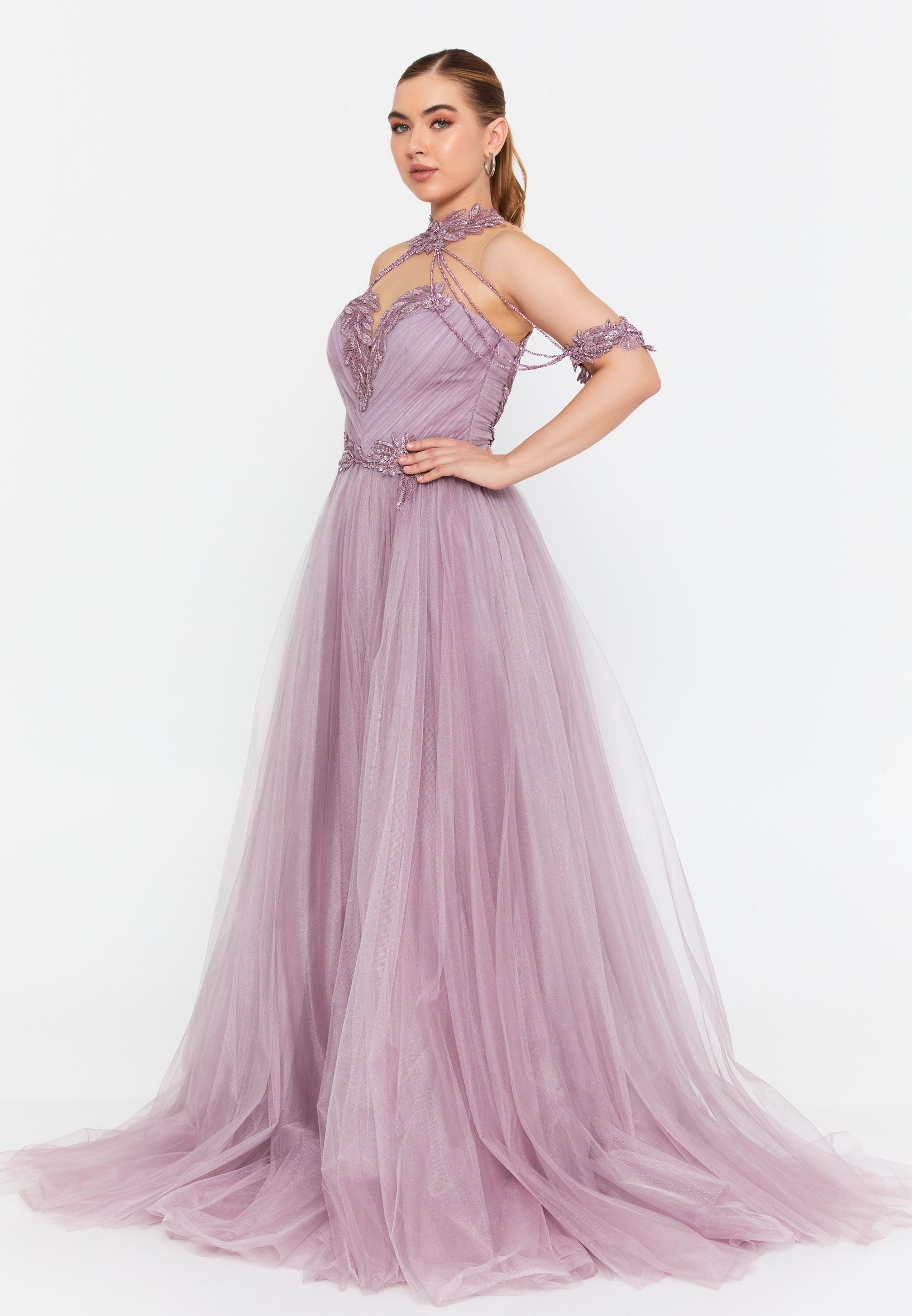 Sleeveless Maxi Tulle A - Line Regular Prom Dress omn667